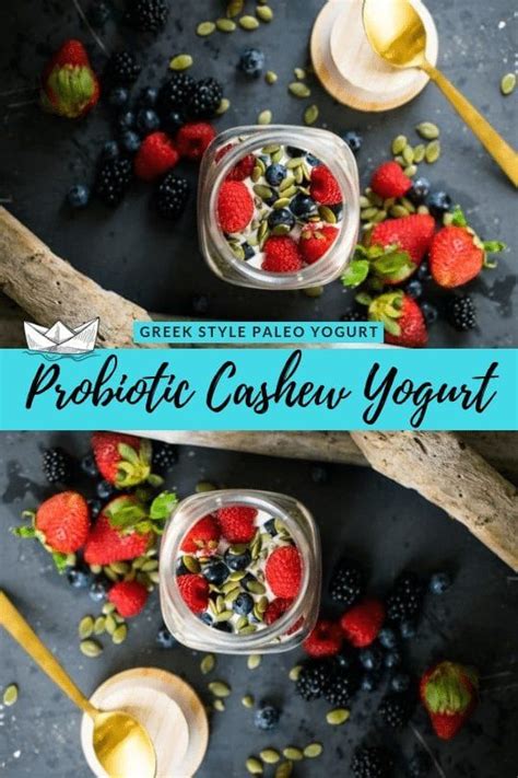 Additionally, it's free of all harmful sweeteners, gluten, and preservatives. Dairy Free Greek Yogurt: Homemade Fermented Paleo | Recipe ...