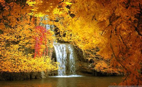 720p Free Download Amazing Autumn Waterfalls Forest Autumn Orange