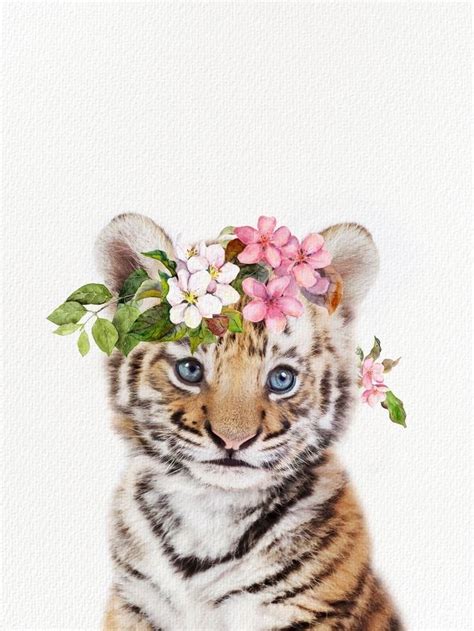 Pin By Jennifer Holcomb On Baby Rose Cute Animal Drawings Baby