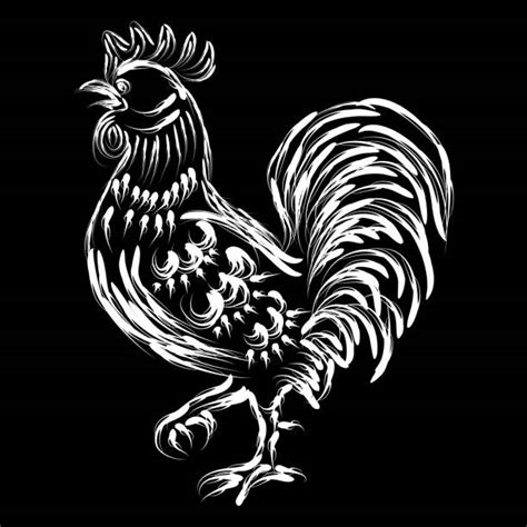 Best Black And White Rooster Illustrations Royalty Free Vector