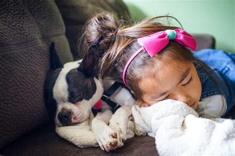 Check spelling or type a new query. Why Does My 3-year-old Hurt the Dog? | Alison Escalante MD