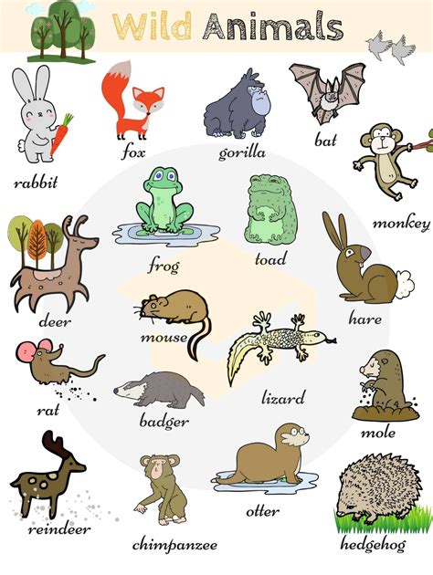 Pin By Elysia Amic On Pictionary English Vocabulary Animals Name In