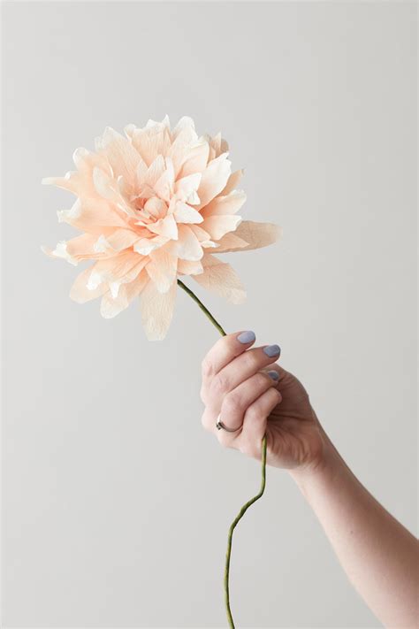 Paper Flower Grand Dahlia Papirblomster Studio About