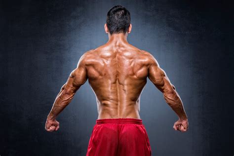 Bodyweight Back Exercises For Building A Strong Back Steel Supplements