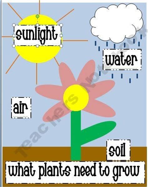 What plants need to grow. What plants need to grow. this was a basic poster that I ...