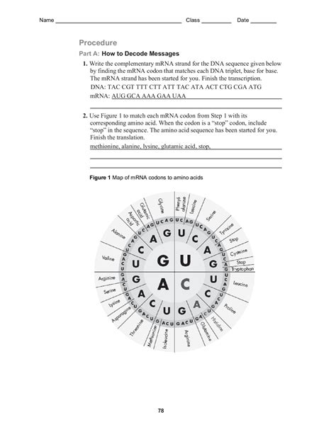 Chapter 14 dna replication worksheet and answer key. Dna Replication Worksheet Answer Key Quizlet : 30 Dna and ...
