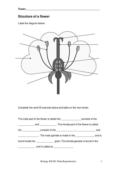 Https://tommynaija.com/worksheet/flower Structure And Reproduction Worksheet