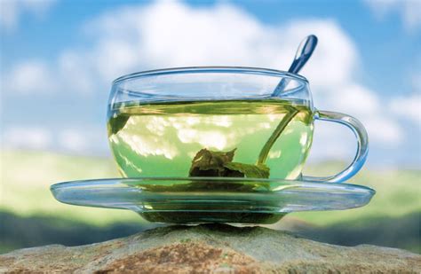 Coffee and tea contain caffeine and theophylline, respectively, which are methylated purine derivatives that inhibit camp phosphodiesterase. How Much Caffeine in Green Tea?(And the Side Effects ...