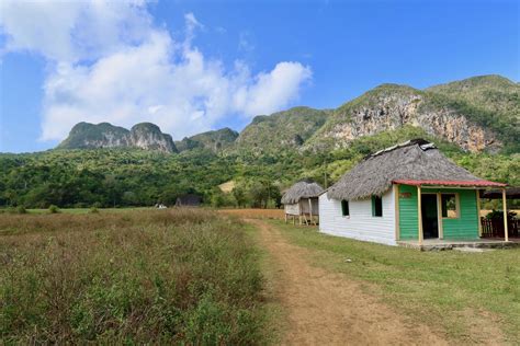 7 Great Things To Do In Viñales The Countryside Of Cuba Lush Greenery