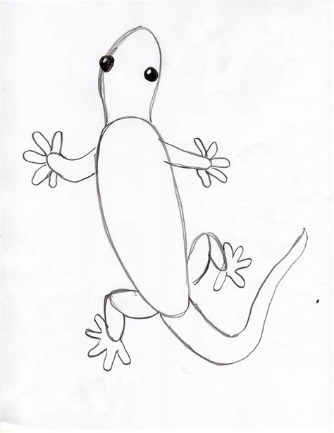 Draw A Gecko Step By Step Art Starts