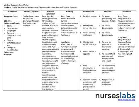 Nanda Nursing Diagnosis Terms