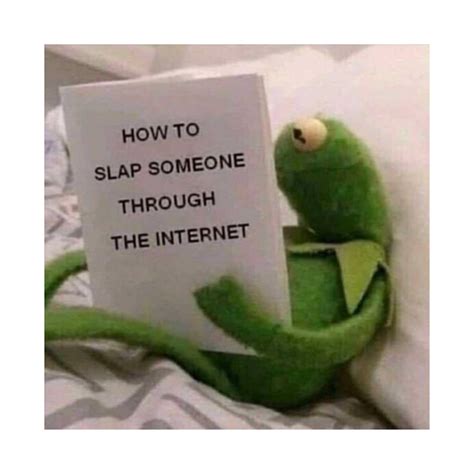 How To Slap Someone Through The Internet Kermit The Frog Reaction