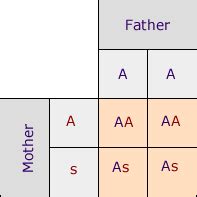 Punnett Square For Sickle Cell Disease And The Theoretical And Experimental Probability