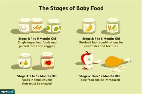Baby Food Stages On Labels—what Do They Mean