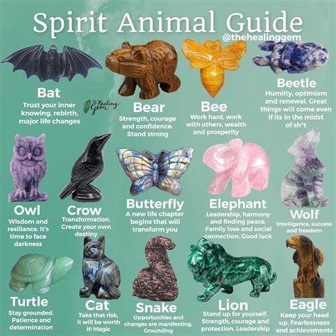 The Spirit Animal Guide Is Shown With Many Different Types Of Animals