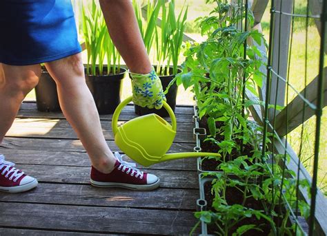 10 Tips For Beginner Gardeners Bob Vila