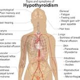 Holistic Medicine For Low Thyroid Pictures