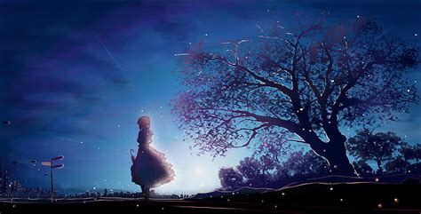 Hd Wallpaper Silhouette Of Tree Anime Anime Girls Violet Evergarden