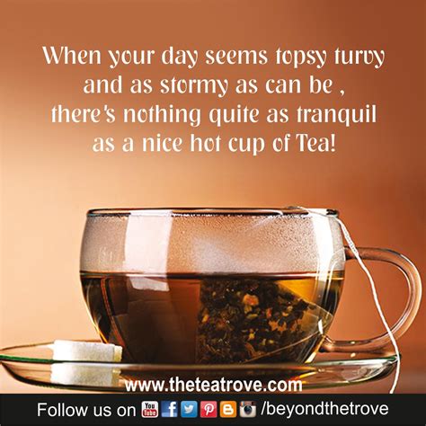 The Simplest Drink Which Can Gives You True Bliss Hottea Happiness