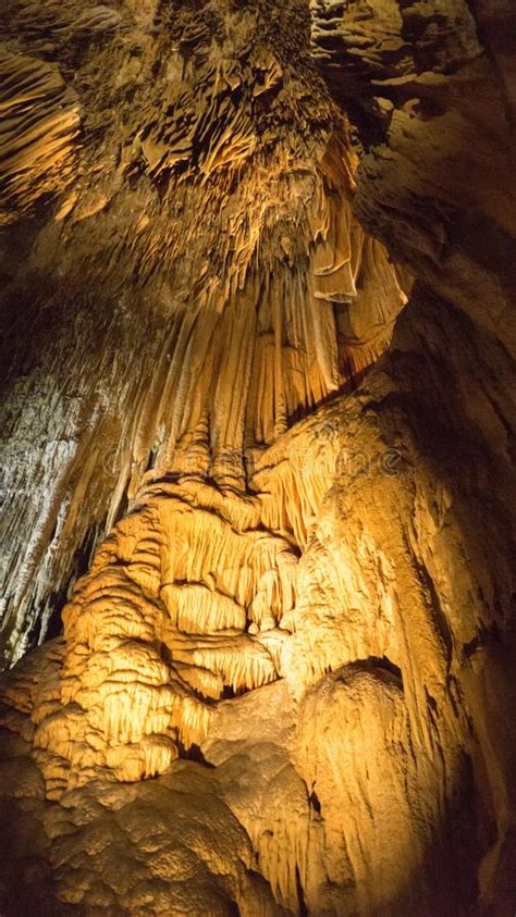 Hastings Cave Tasmania Stock Photo Image Of Caves