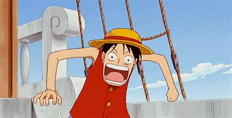 One Piece Animated 