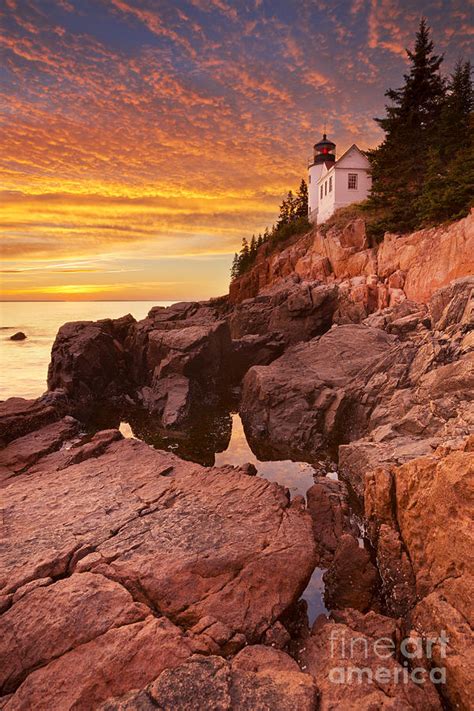 Bass Harbor Head Lighthouse Acadia Np Maine Usa At Sunset Photograph