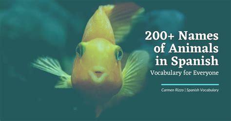 200 Names Of Animals In Spanish Vocabulary For Everyone