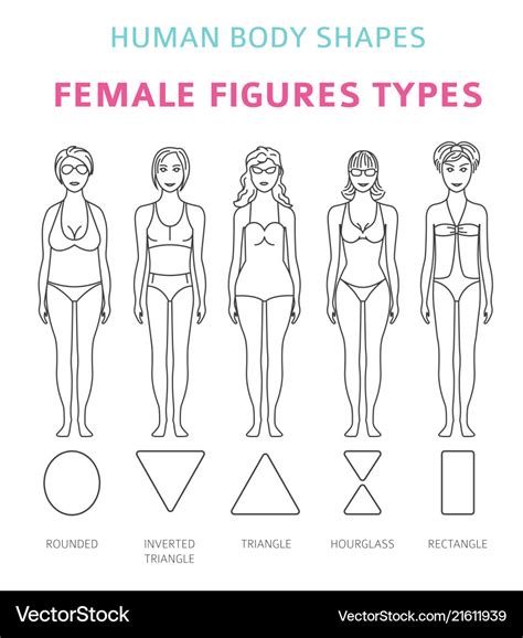 Human Body Shapes Female Figures Types Set Simple Vector Image