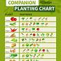 Chart For Planting Veggie Garden