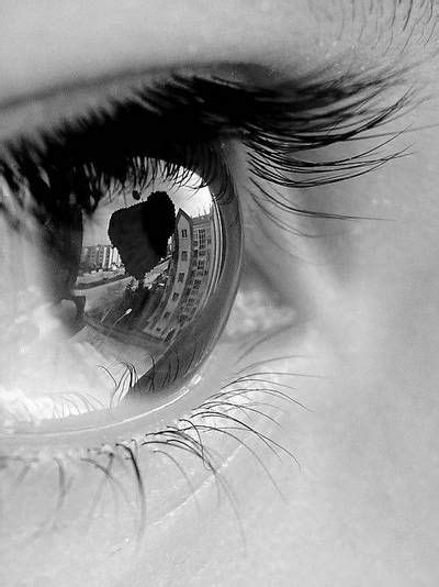 Angel Eye By Limpidd Eye Photography Macro Photography Eyes