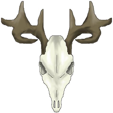 Whitetail Deer Skull Drawings Clipart Best