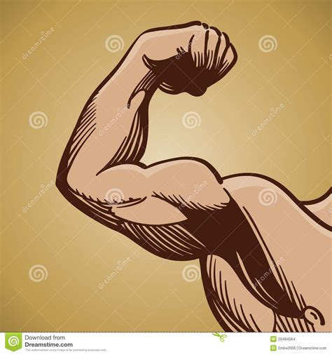 Man Flexing Arm Muscle Stock Images Image 20484564