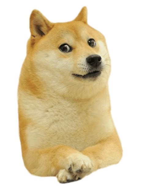Funniest Meme Faces Dog Emoji Doge Dog Doge Meme