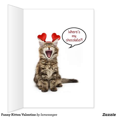 Funny Kitten Valentine Card Kittens Funny Valentines Cards