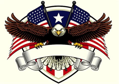 Usa Bald Eagle Logo