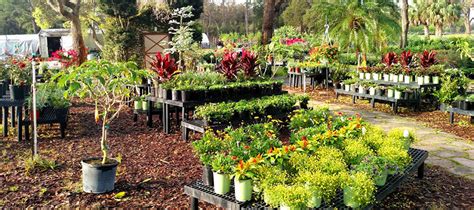 Check spelling or type a new query. Anson Nursery Landscaping Company in Citrus County Florida ...