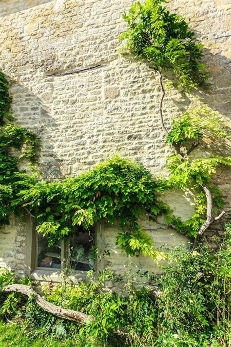 Old Stone House With Green Trees Ivy England Stock Photo Image Of