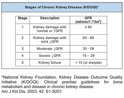 The Five Stages Of Chronic Kidney Disease Outlined In Great Detail