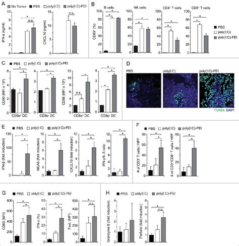 Systemic Treatment With Poly I C Pei Stimulates Immune Activation A Download Scientific