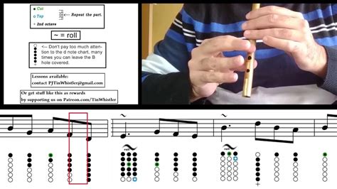 How To Play The Tin Whistle Gallaghers Frolics Jig Tin Whistle