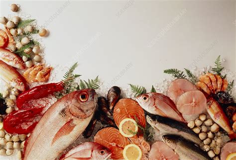 Assortment Of Edible Fresh Fish And Shellfish Stock Image H1100733