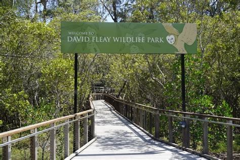 David Fleay Wildlife Park Brisbane Kids
