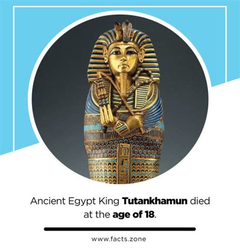 Ancient Egypt King Tutankhamun Died At The Age Of 18 • Facts Zone
