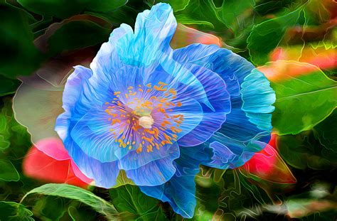Painting Of A Blue Flower Hd Wallpaper Background Image 1920x1262