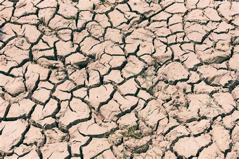 Cracked Soil Arid Land With Dry And Cracked Ground Desert Texture