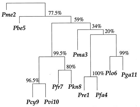 Bootstrap Confidence Levels For Phylogenetic Trees Pnas