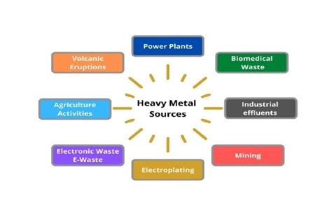 Environment Research And Heavy Metals A Toxic Relationship Microbioz India