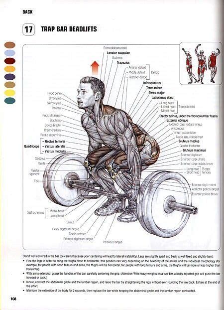 Pin By Ilze Rēdere On Fitness Strongman Dreaming Deadlift Benefits