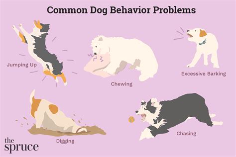 What Is Abnormal Puppy Behavior