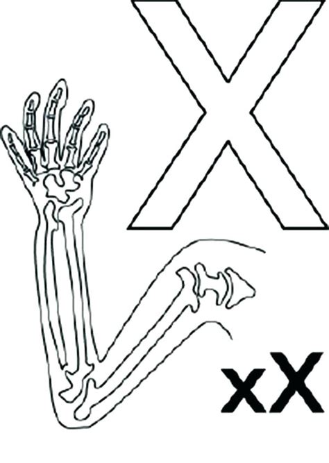 X Ray Coloring Page At Getcolorings Free Printable Colorings 360 The